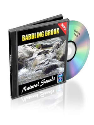 cover image of Babbling Brook--Relaxation Music and Sounds